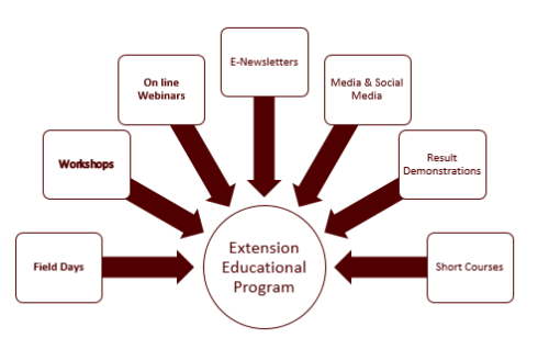 What Is Extension Programme