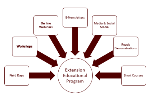 What Is An Extension Educational Program Organizational Development